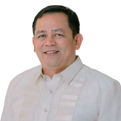 HON. NOEL E. ALINSUB