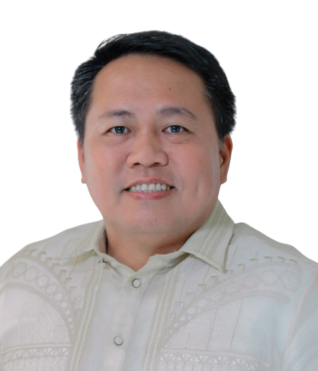HON. ROMUALDO A. DIZON JR.